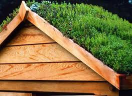 For the unfamiliar, the basic gable roof consists of evenly spaced rafters secured to the top plates and the ridge board—which essentially serves the same how much does it cost to build a 12×14 shed? How To Build A Roof Garden Creating A Green Roof