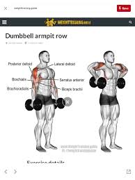 Https Www Musclesaurus Com Exercicios Para Ombro Exercicios De Musculacao Exercicios Com Halteres