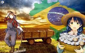 Brazil S Biggest Bitcoin Exchange Expands Cryptonetwork News Cnwn