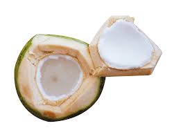 Young Coconut Png Coconut Png Clip Art