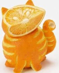Orange Cat Lol Orange Cat Fruit Art Food Art