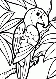 Jul 24, 2013 · animals of the rainforest; Coloring Pages Parrot Sitting On Branch Coloring Sheet