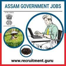 Get latest information on assam job news,jobs in assam. Latest Assam Govt Jobs 2021 Apply For 13 198 Jobs In Assam Career