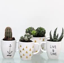 Creative ceramic 3d cactus shape coffee cup plant coffee mug with flower decor milk tea mug home office water drinking cup gift. 20 Diy Cactus Garden Ideas How To Build A Cactus Garden