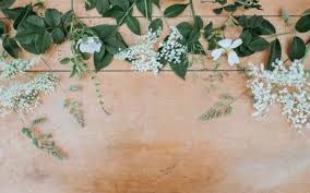 Feel free to use these aesthetic desktop images as a background for your pc, laptop, android phone, iphone or tablet. Pick A Flower Wallpaper From This Collection Of 52 Desktop Backgrounds