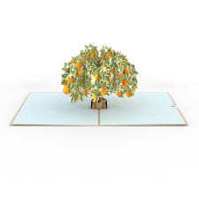 Florida state with orange blossom flower. Orange Blossom Tree Lovepop