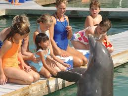 Hawks cay resort is set on the small, secluded island of duck key in the florida keys. Hawks Cay Resort Duck Key Florida Baton Rouge Parents Magazine