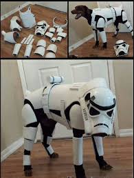 Isn T He A Little Short To Be A Storm Trooper Star Wars Jokes Star Wars Memes Star Wars Humor