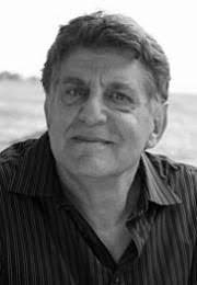 Critical Judgment by Michael Palmer