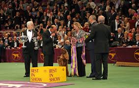 The 145th westminster dog show launched on friday, june 11, and. Westminster Kennel Club Dog Show Wikipedia