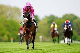 PMU / Buralistes : les paris hippiques repartent | Le Monde du Tabac