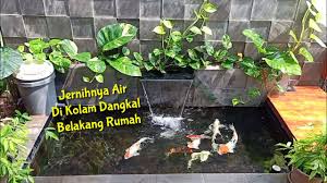 Setelah semua bahan dan alat disiapkan, langkah selanjutnya adalah mulai membangun filter kolam ikan buatan sendiri. Kolam Ikan Koi Buatan Sendiri Youtube