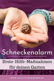 Was Hilft Wirklich Gegen Schnecken Der Grosse Test In 2020 Schnecken Im Garten Schnecken Was Hilft Gegen Schnecken