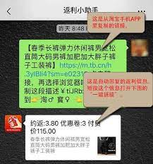 将复制的链接发送到微信中的 返利小助手 就能自动获取返利信息https www chenweiliang com boarding pass airline travel