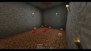 Huge mushrooms can be grown by applying bone meal to a small red or brown mushroom that is planted on dirt, coarse dirt or grass blocks with a skylight and block light level of 12 or less, or on podzol, mycelium or nylium at any light level. Minecraft 5 Steps To Grow A Mushroom Farm In Minecraft Geekymint