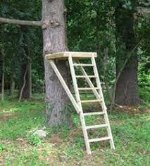 Zip Line Platform Plan How To Build A Zip Line Launch Platform Ziplining Zip Line Backyard Backyard For Kids