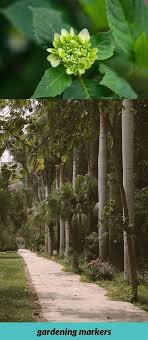 Learn the gardening skill faster get high quality plants plants more often talk to plants to raise your social bar revive dead plants (this only works on neglected plants, barren plants are totally dead, except for… Gardening Markers 542 20180915180648 53 Best Gardening Stores Near Me Sims 3 Gardening Ps3 Controller Hotte English Cottage Garden Garden Garden Nursery