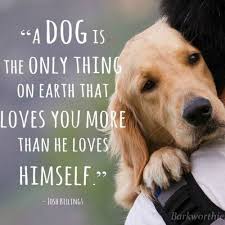 In the early 1980s she began to carve a niche for herself in hollywood, appearing on television and in films. 101 Dog Quotes 2021 Update