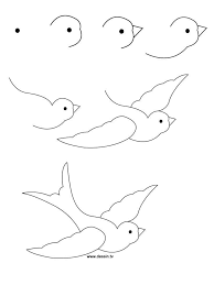 Vogel Bild Tiere Zeichnen Einfach Vogel