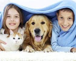 Country hill animal clinic, lenexa, ks. Raccoon Valley Animal Hospital 301 Bridgeton Pike Mullica Hill Nj 08062