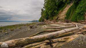 Jul 31, 2021 · york river state park takes its name from the river along its border, which is formed from the joining of the pamunkey and mattaponi rivers at west point, 10 miles upriver from the park. Saltwater State Park Info Activities Photos Des Moines Wa