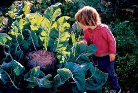 We did not find results for: Grow Your Best Fall Garden Vegetables Mother Earth News