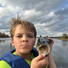 ᐅ White Ash Lake fishing reports🎣• Forest Lake, WI (United States) fishing