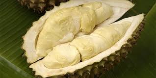 Durian disana terkenal dengan durian hijau dan rasa yang manis, apabila kalian durian disana dikenal dengan durian cikakak yang merujuk pada asal nama daerah durian itu ditanam, yaitu durian cikakak dengan ukurannya yang jumbo. Tai Babi Khas Belitung Dihargai Rp 300 000 Butir Pembeli Sampai Dari Luar Negeri Merdeka Com