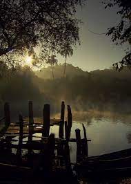 Check spelling or type a new query. Nature Is So Relaxing And Awesome Oh My God Nature Gif Beautiful Nature Nature
