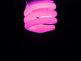 Download wallpapers purple for desktop and mobile in hd, 4k and 8k resolution. Neon Purple Wallpapers On Wallpaperdog