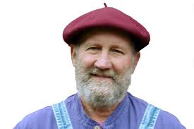 A field guide to identifying ferns