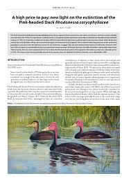 The latest tweets from alex jones (@realalexjones_). Pdf A High Price To Pay New Light On The Extinction Of The Pink Headed Duck Rhodonessa Caryophyllacea