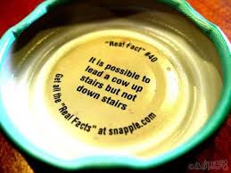 It S Possible To Lead A Cow Upstairs But Not Downstairs Our Dog Is A Cow In Disguise Snapple Facts Fun Facts Real Facts