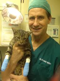 Maybe you would like to learn more about one of these? Pasadena Veterinary Hospital Laser Center Home Facebook