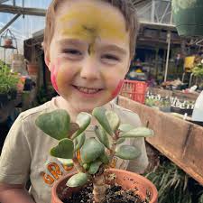 Spring is in the air! Violas are just beginning to bloom in the greenhouse.  The greenhouse will open for Spring