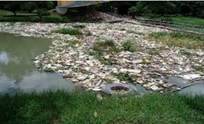 Sungai kinabatangan posisi sungai paling panjang di malaysia selanjutnya adalah sungai kinabatangan yang terletak di daerah sabah. Water Pollution At Sungai Juru Penang 10 Download Scientific Diagram