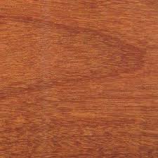 Image result for Pericopsis