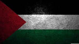 Per info scrivici freepalestineroma at autistici . org. Palestine Flag Wallpapers Top Free Palestine Flag Backgrounds Wallpaperaccess