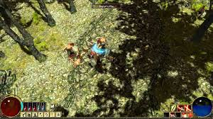 Path of Exile | Know Your Meme