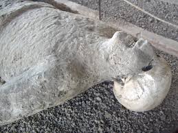Tripadvisor has 112,826 reviews of pompeii hotels, attractions, and restaurants making it your best pompeii resource. Ancient Pompeii Had Great Dental Health From Mt Vesuvius