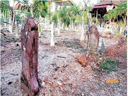 Ia terletak di antara pekan pokok sena dan bandar alor setar. Penemuan Baharu Berkaitan Merong Mahawangsa Guru Sejarah Dan Pelajar Tingkatan 2 Kena Tahu Ni Rencana Gps Bestari