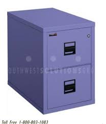 Make sure you have insurance riders to cover you in a worst case. Fireproof Filing Cabinet Storage Security Safes For Storing Assets Records