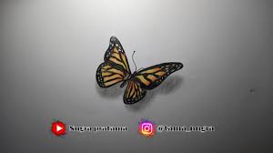 Gambar sketsa hewan kupu kupu. Menggambar Sketsa Kupu Kupu 3d Youtube