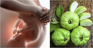 14 Amazing Health Benefits Of Eating Guava During Pregnancy