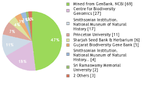 Image result for Corchorus saxatilis