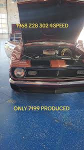 Image result for Corvette Bronze 1968 Camaro