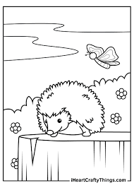 The coloring pages can be free printable with white and black pictures, drawings. Hedgehog Coloring Pages Updated 2021