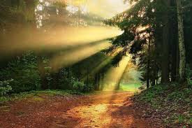 Passing Into The Light Omraam Words Of Light