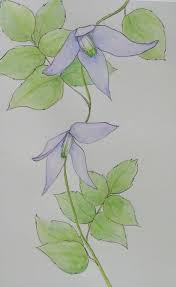 We did not find results for: Vines Google Search