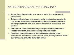 Trauma yang terjadi pada persalinan. Obat Dan Sistem Pernafasan Ppt Download